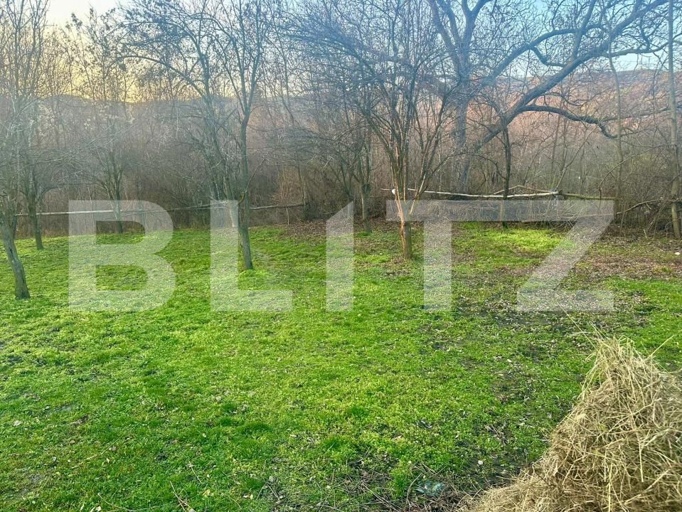 Teren de vânzare Drajna - 184208TV | BLITZ Ploieşti | Poza4