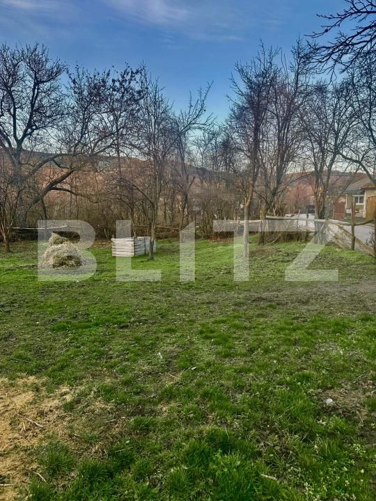 Teren de vânzare Drajna - 184208TV | BLITZ Ploieşti | Poza9