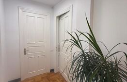 Spatiu de birouri de inchiriat, 100 mp, zona Central 