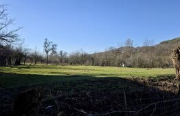 Teren 4.549 mp intravilan, cu posibilitate de parcelare.