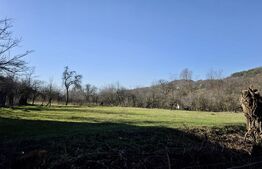 Teren 4.549 mp intravilan, la doar 8 minute de Vălenii de Munte. Poiana Copăceni