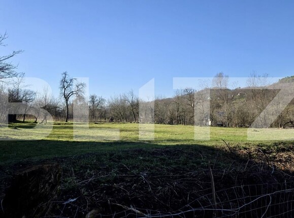 Teren de vânzare Gura Vitioarei - 184297TV | BLITZ Ploieşti | Poza3