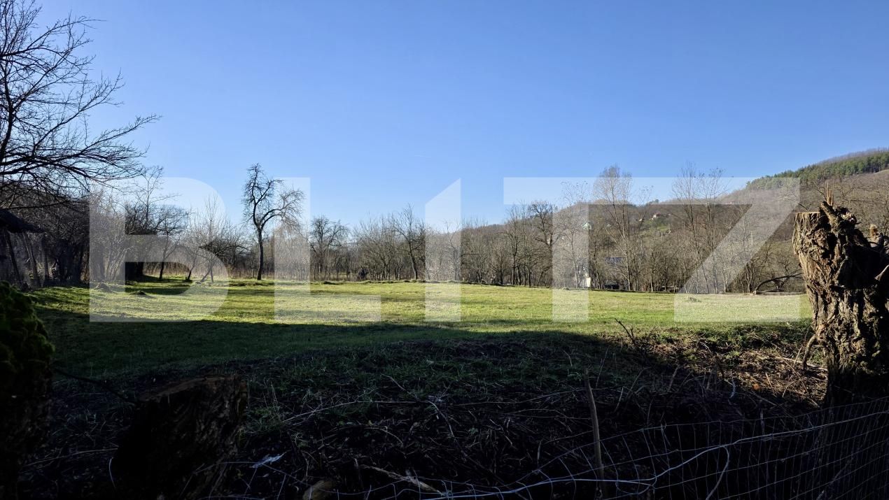 Teren de vânzare Gura Vitioarei - 184297TV | BLITZ Ploieşti | Poza3