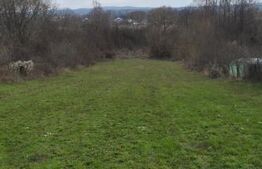 Teren de vânzare Paulesti - 159426TV | BLITZ Ploieşti | Poza3