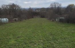 Teren intravilan 3000mp ,sat Plopu, Prahova 