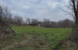 Teren intravilan 3000mp ,sat Plopu, Prahova 