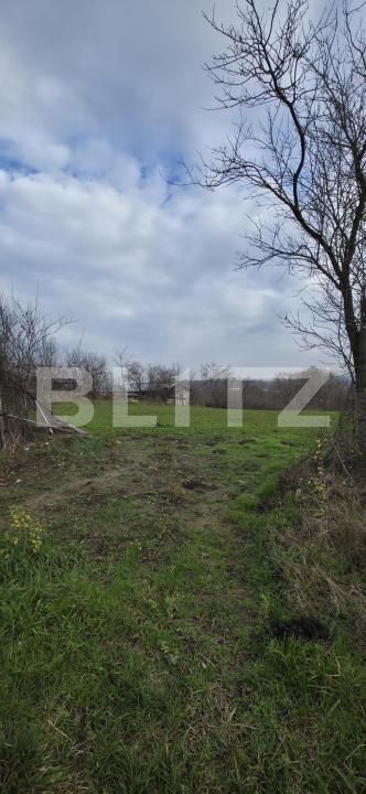 Teren de vânzare Plopu - 184326TV | BLITZ Ploieşti | Poza4