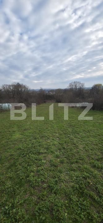 Teren de vânzare Plopu - 184326TV | BLITZ Ploieşti | Poza2