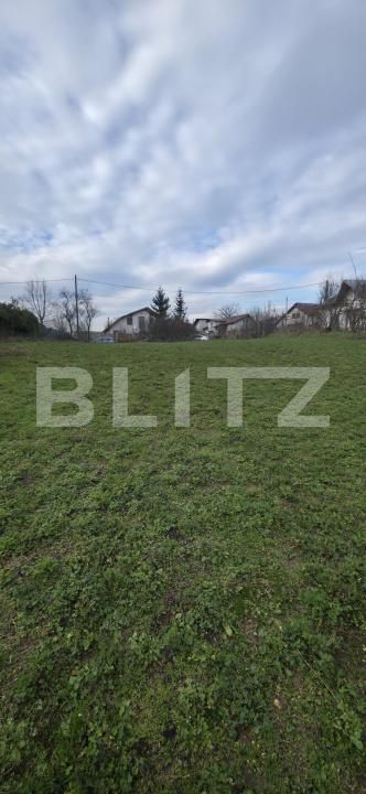 Teren de vânzare Plopu - 184326TV | BLITZ Ploieşti | Poza3