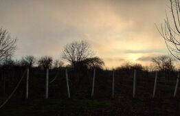 Casă spațioasă cu teren generos – Valea Călugărească, sat Pantazi