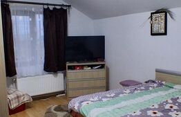 Casă spațioasă cu teren generos – Valea Călugărească, sat Pantazi