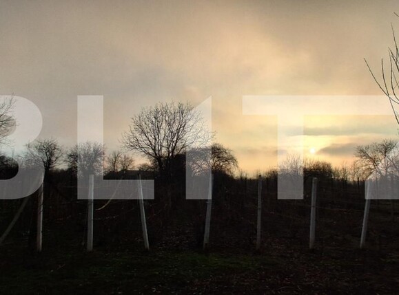 Casa de vânzare 4 camere Exterior Est - 184434CV | BLITZ Ploieşti | Poza5