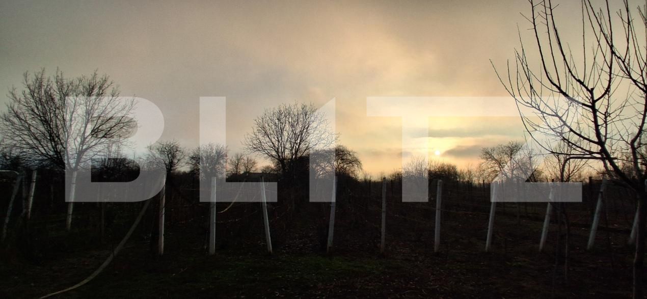 Casa de vânzare 4 camere Exterior Est - 184434CV | BLITZ Ploieşti | Poza12