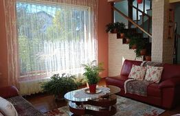 Vilă individuală S+P+1E+Pod | 4 dormitoare | Teren 698 mp | Cartier Albert 