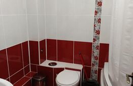 Vilă individuală S+P+1E+Pod | 4 dormitoare | Teren 698 mp | Cartier Albert 