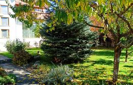 Vilă individuală S+P+1E+Pod | 4 dormitoare | Teren 698 mp | Cartier Albert 