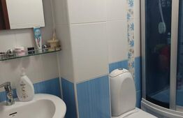 Vilă individuală S+P+1E+Pod | 4 dormitoare | Teren 698 mp | Cartier Albert 