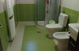 Vilă individuală S+P+1E+Pod | 4 dormitoare | Teren 698 mp | Cartier Albert 