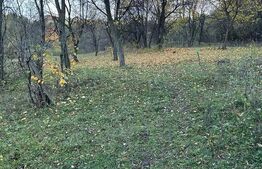 Teren intravilan 2.050 mp – Comuna Izvoarele, județul Prahova