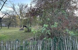 Teren intravilan 2.050 mp – Comuna Izvoarele, județul Prahova