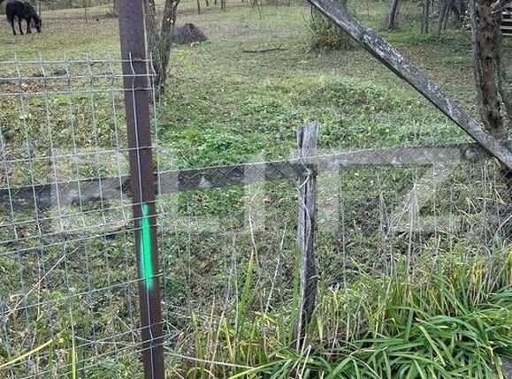 Teren de vânzare Izvoarele - 184622TV | BLITZ Ploieşti | Poza4