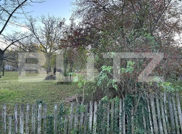 Teren de vânzare Izvoarele - 184622TV | BLITZ Ploieşti | Poza5