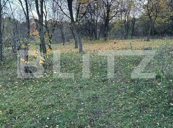 Teren de vânzare Izvoarele - 184622TV | BLITZ Ploieşti | Poza1