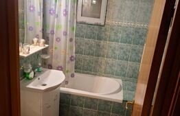 Apartament 3 camere, 58 mp, zona Paltinis