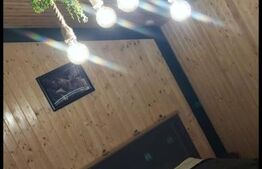 Cabană premium de vânzare | Investiție turistică | Breaza – Nistorești