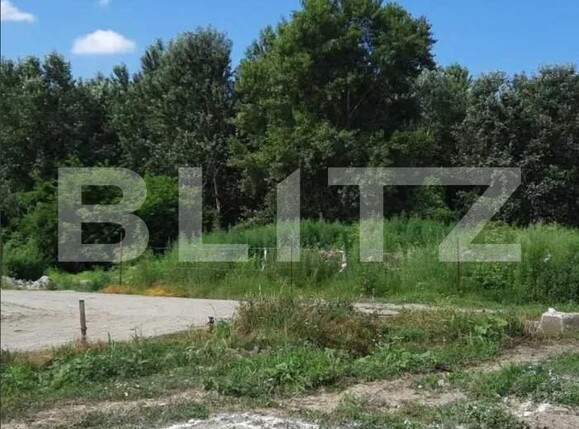 Teren de vânzare Puchenii Mari - 184770TV | BLITZ Ploieşti | Poza3
