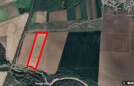 Teren agricol , Puchenii Mari, 90.000 mp 