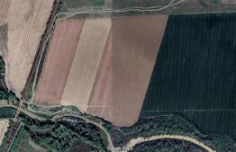 Teren agricol , Puchenii Mari, 90.000 mp 