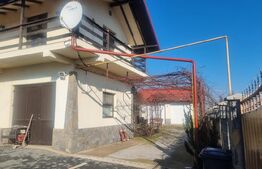 Proprietate deosebită cu teren generos, livadă pe rod și viță-de-vie 