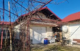 Proprietate deosebită cu teren generos, livadă pe rod și viță-de-vie 