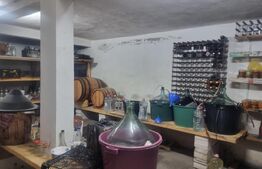 Proprietate deosebită cu teren generos, livadă pe rod și viță-de-vie 