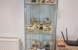 Proprietate deosebită cu teren generos, livadă pe rod și viță-de-vie 