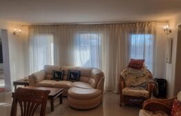 Proprietate deosebită cu teren generos, livadă pe rod și viță-de-vie 