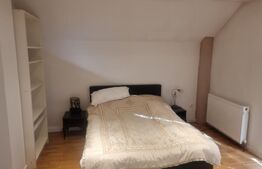 Proprietate deosebită cu teren generos, livadă pe rod și viță-de-vie 