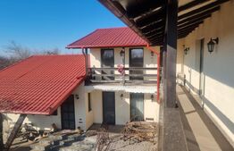 Proprietate deosebită cu teren generos, livadă pe rod și viță-de-vie 