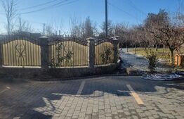 Proprietate deosebită cu teren generos, livadă pe rod și viță-de-vie 