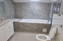 Proprietate deosebită cu teren generos, livadă pe rod și viță-de-vie 