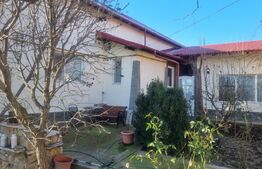 Proprietate deosebită cu teren generos, livadă pe rod și viță-de-vie 