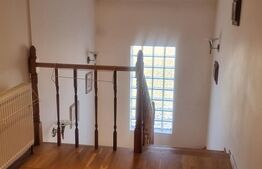 Proprietate deosebită cu teren generos, livadă pe rod și viță-de-vie 