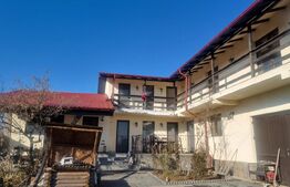 Proprietate deosebită cu teren generos, livadă pe rod și viță-de-vie 