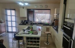 Proprietate deosebită cu teren generos, livadă pe rod și viță-de-vie 