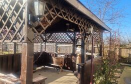 Proprietate deosebită cu teren generos, livadă pe rod și viță-de-vie 