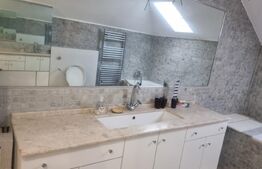 Proprietate deosebită cu teren generos, livadă pe rod și viță-de-vie 