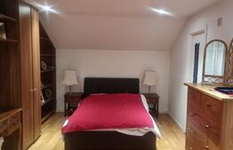 Proprietate deosebită cu teren generos, livadă pe rod și viță-de-vie 