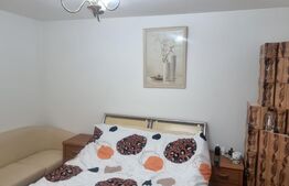 Proprietate deosebită cu teren generos, livadă pe rod și viță-de-vie 