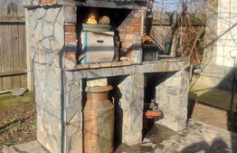 Proprietate deosebită cu teren generos, livadă pe rod și viță-de-vie 